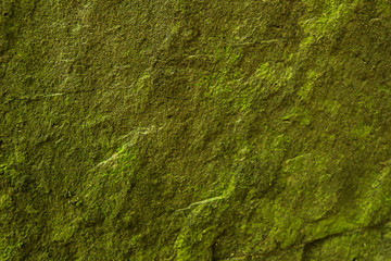 Background and black marble. Bedrock Stone In the forest near the waterfall