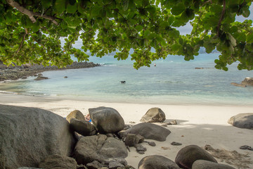 Fototapeta premium View of the Andaman Sea at the evening, Paradise beach,Phuket Thailand Tropical countries At the top of the island.