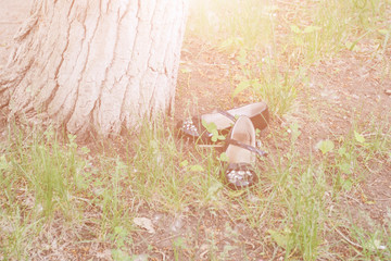 Children's shoes under the tree