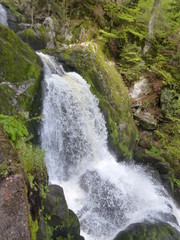 cascade triberg forêt-noire