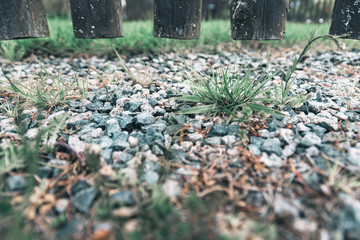 Obraz premium Grass growing through pebbles below a wooden fence