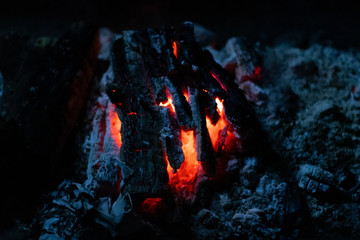 wood fire in the fireplace