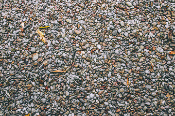 Pebble stone texture. Little round stones in different colors.