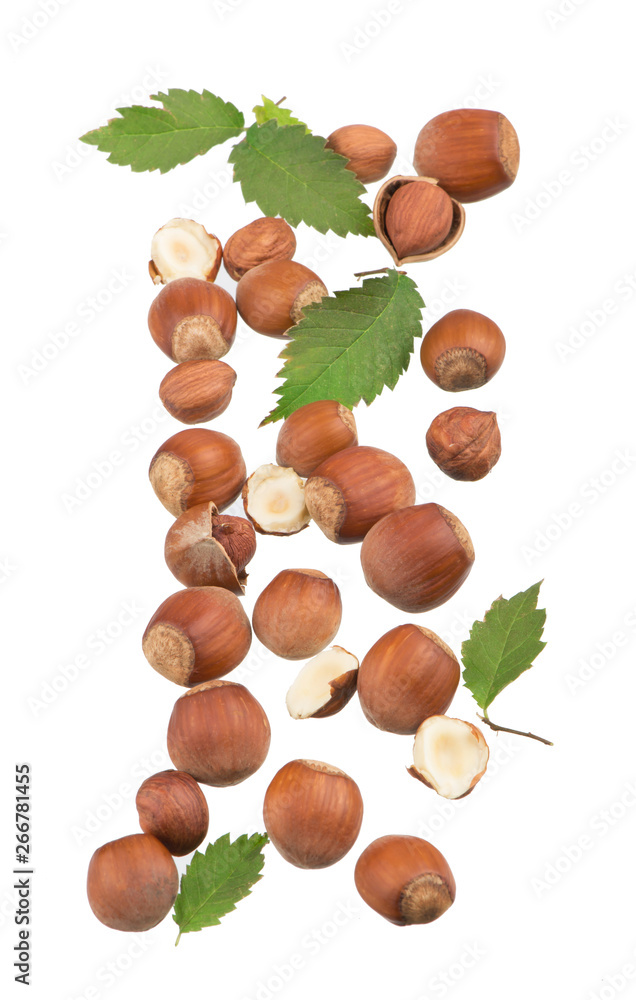 Poster scattered group of hazelnuts on white. fresh hazelnuts in their shells.