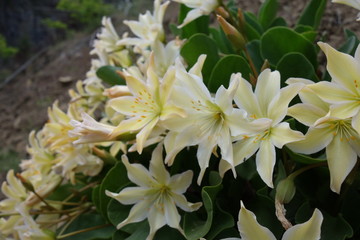 Hiking in the Pacific Northwest