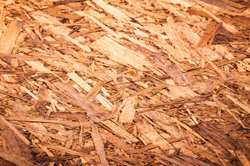 abstract surface of wood osb