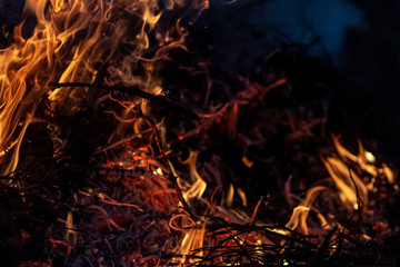 Forest wildfire at night whole area covered by flame and clouds of dark smoke. Distorted details due high temperature and evaporation gases during combustion