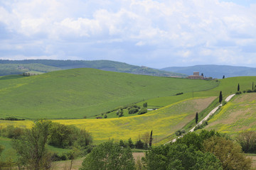 Fototapeta na wymiar Yellow rapeseed fields in Val d'Orcia, Tuscany. Val d'Orcia landscape in spring. Cypresses, hills and green meadows near San Quirico d'Orcia, Siena, Tuscany, Italy 