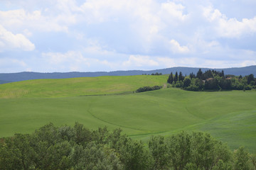 Green meadows in the Val d'Orcia, Tuscany. Val d'Orcia landscape in spring. Cypresses, hills and green meadows near San Quirico d'Orcia, Siena, Tuscany, Italy
