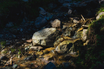 Mountain river. Wet stone. Rest in Kyrgyzstan. Nature in the area of lake Issyk Kul.