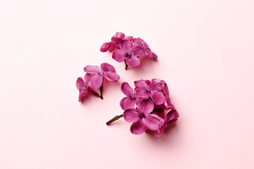 Flat lay top view photo of spring lilac flowers. lilac flowers bouquet on  lilac background. top view with copy space