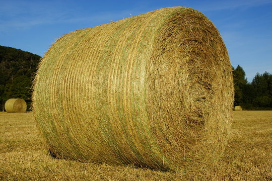 Foin d'odeur amérindien pour fumigation main image 1