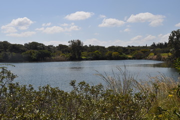 The beautiful natural Wetland landscape in Cyprus
