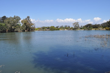 The beautiful natural Wetland landscape in Cyprus