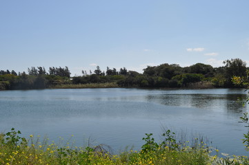 The beautiful natural Wetland landscape in Cyprus
