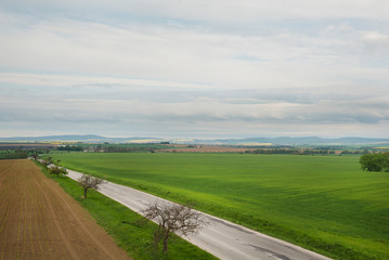 Local asphalt road in the field. Spring time.