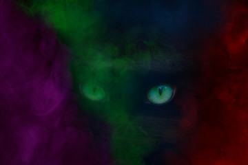 Obraz na płótnie Canvas the green sparkling eyes of a mystical demon hid behind a multi-colored mysterious fog Halloween concept