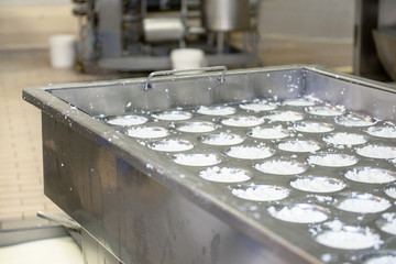 Food industry. Fermentation of the cheese in a stainless steel tank .