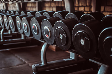 Photo of many different dumbbells in modern sunny gym.