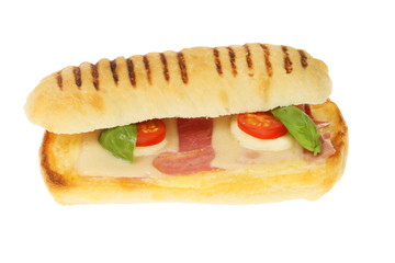 Panini sandwich isolated