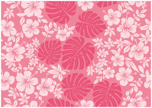 2 694 Best モンステラ Images Stock Photos Vectors Adobe Stock
