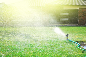 Obraz na płótnie Canvas Lawn sprinkler watering green grass
