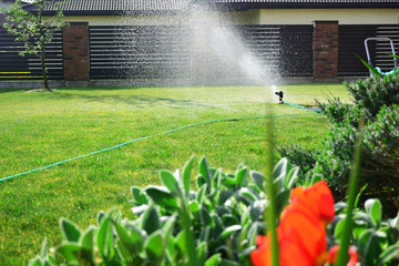 Lawn sprinkler watering green grass