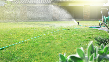 Lawn sprinkler watering green grass - obrazy, fototapety, plakaty
