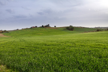 Fototapeta na wymiar Magliano in Toscana, Grosseto
