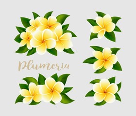 Realistic white yellow plumeria frangipani flowers with green leaves isolated - obrazy, fototapety, plakaty