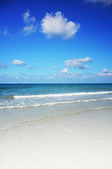 Tropical beach background and empty wooden, Summer.
