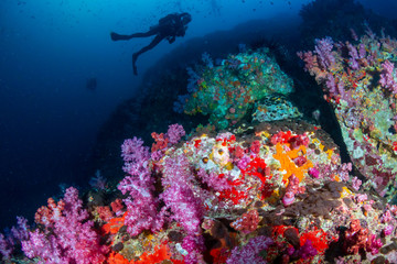 Fototapeta na wymiar SCUBA diver swimming over a beautiful, colorful tropical coral reef