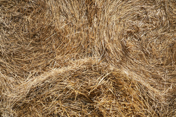 Texture of haystacks from round bales on a sunny day. Close-up