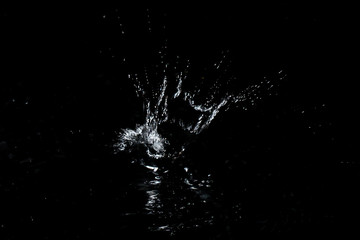 Splash of water. Isolate on black background