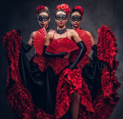 Flamenco spanish seductive dancers wearing traditional costume. Isolated on a dark background.