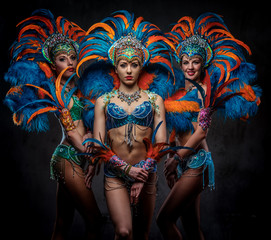 Studio portrait of a group professional dancers female in colorful sumptuous carnival feather suits. Isolated on a dark background.