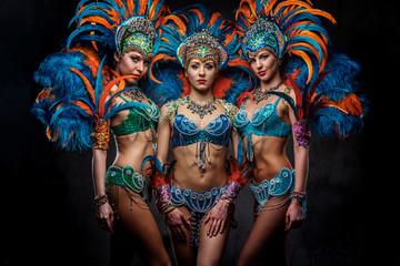 Portrait of a group sexy dancers female in colorful sumptuous carnival feather suits. Isolated on a...