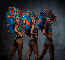 Studio portrait of a group professional dancers female in colorful sumptuous carnival feather...