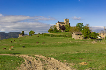 Paisaje verde en tierras vascas