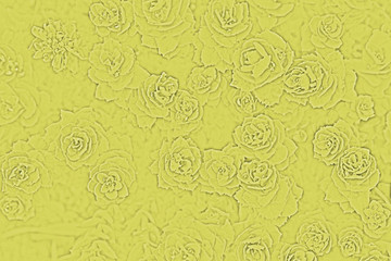 Solid yellow background with the texture of the flower Rhodiola Rosea