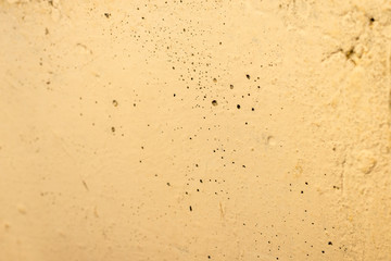 white concrete wall with peeling paint on the whole frame