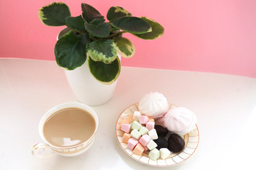 Still life. Coffee with milk, sweets and violet flower in a white pot on a pink background.