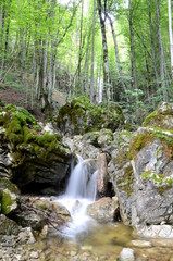 Waterfall in a forest near Bad Ischl in the Salzkammergut region, Austria