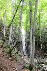 Waterfall in a forest near Bad Ischl in the Salzkammergut region, Austria
