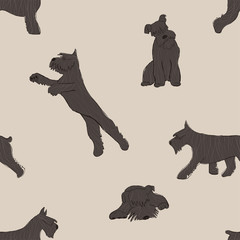 Seamless Pattern With Schnauzer Dog.