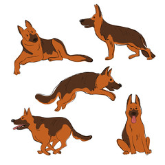 Collection Of Shepherd Dog Icons