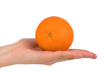.orange on female hand on white background