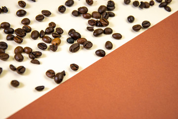 Coffee beans on white and brown background