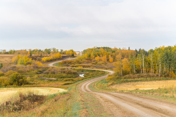 winding country road in the fall