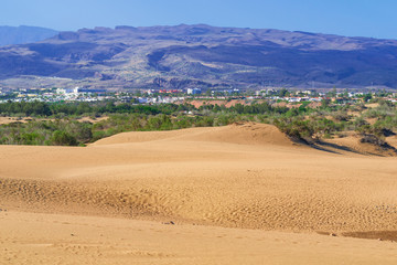 Sand Dunes on Grand Canary